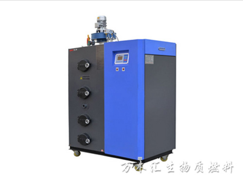 100KG生物質蒸汽發生器